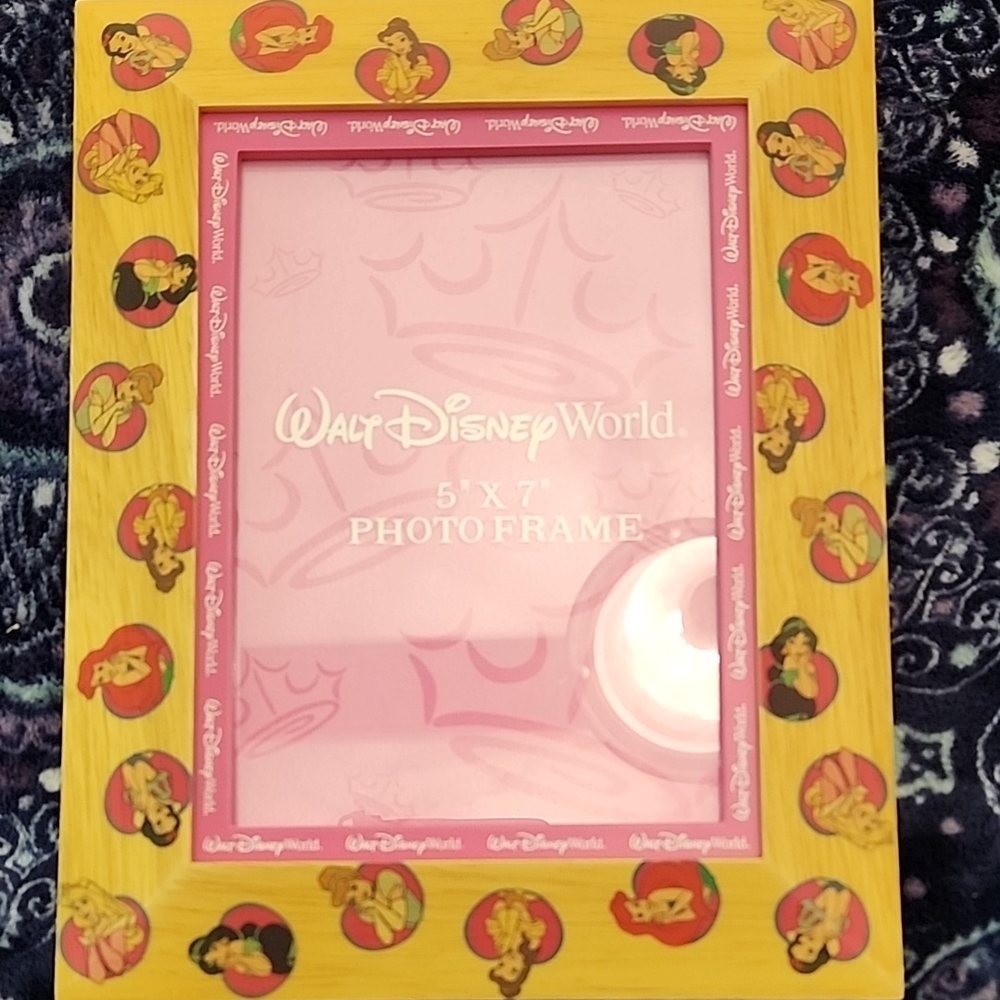 Disney Princess Photo Frame